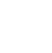 Classical PyOx ligands