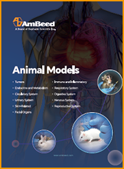 Animal Models