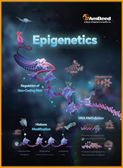 Epigenetics