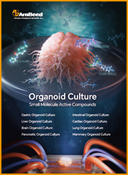 Organoid Culture
