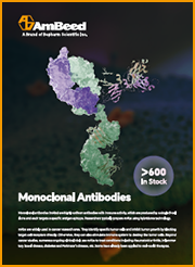Monoclonal Antibodies
