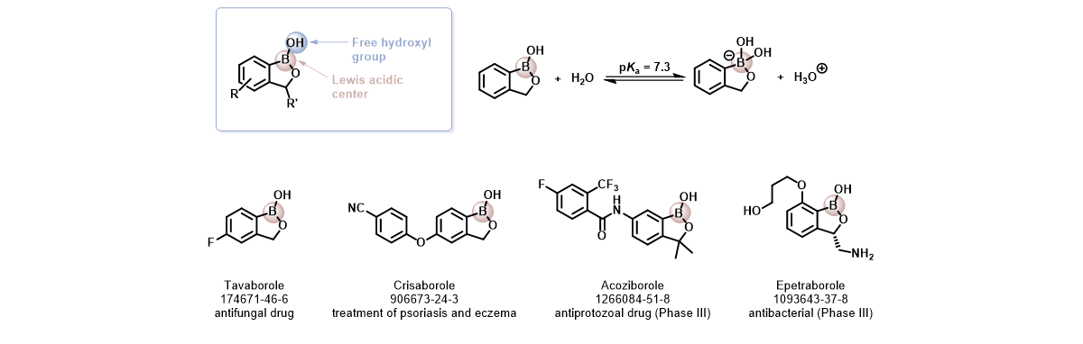 Benzoxaboroles