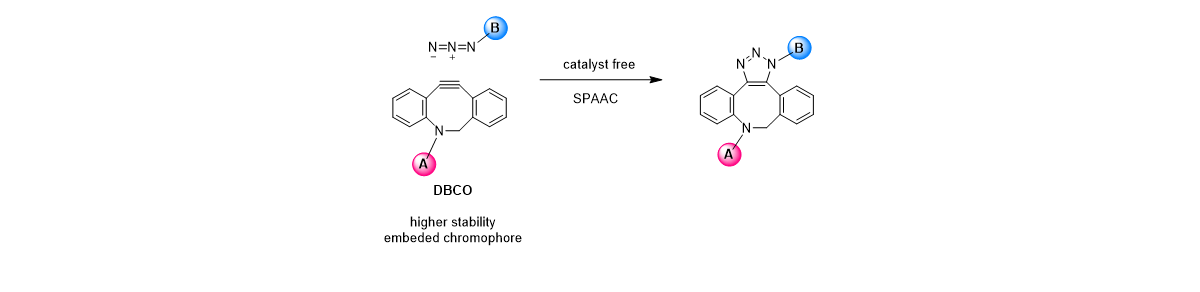 DBCO Derivatives